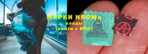 шишки Богородск